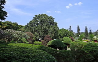 名山县属于哪个市的（名山属于哪里）