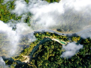 云南旅游几月份去最佳时间（云南旅游几月份去最佳时间,云南八月份的天气）