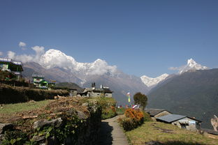 瓦屋山镇农家乐包吃住（瓦屋山农家乐包吃住哪家好便宜点）