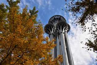 青州旅游景点大全哪里最好山东（山东青州旅游景点大全景点排名）