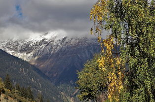 辽宁鞍山有哪些大商场（鞍山有哪些大型商场）