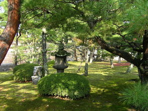 东山湖温泉度假村开业了吗（东山湖温泉度假村开业了吗今天）