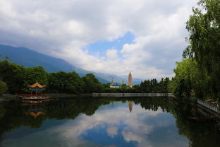 云南恐龙谷的景区在哪里（云南恐龙谷风景区）