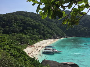 厦门最值得去的地方（厦门最值得去的地方有哪些景点）