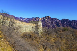 太原重工未来前景（太原重工发展前景）