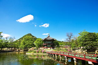 巨野金山风景区怎么样（巨野金山旅游景区）