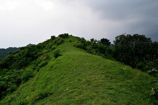 云南中青旅游（云南中青旅产投文化发展有限公司）