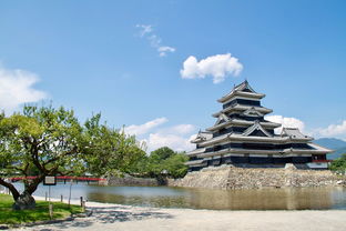 上海观光旅游船价格（上海观光邮轮票价）