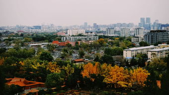 云南昆明旅行社排行（昆明旅行社排名_排行榜_十大品牌_口碑好的旅行社）