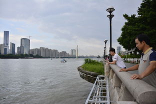 武汉落雁岛景区需要预约吗（武汉落雁岛景区现在开放了吗?）