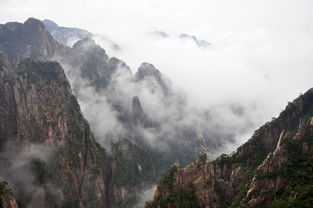 普宁大南山公园在哪里（普宁大南山和南山有什么区别）