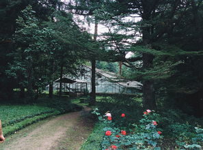 中山岐江公园谁建的（中山岐江公园谁建的好）