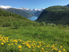 去云南旅游什么季节最好的选择（去云南旅游哪个季节好）