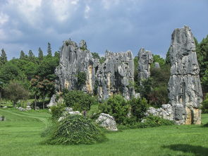 红山地铁站到仙湖植物园（坐地铁几号线到仙湖植物园）