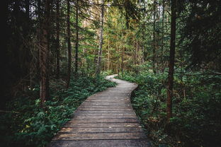 萧山是哪里的城市（萧山是哪个地方的）