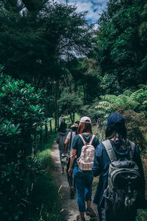 綦江横山风景区有露营吗（綦江横山风景区自驾攻略）