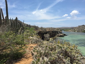 郑州云南旅游最佳路线（郑州去云南旅游）