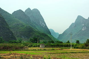 三十里枫叶旅游（金州三十里堡枫叶基地）