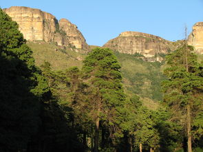 爬福建大芹山车可开到哪里（漳州大芹山需要门票）