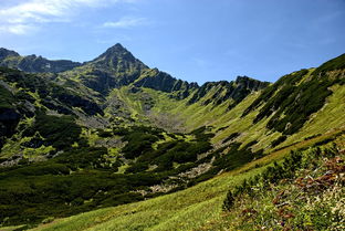 长白山和富士山哪个厉害（富士山是长白山余脉吗）