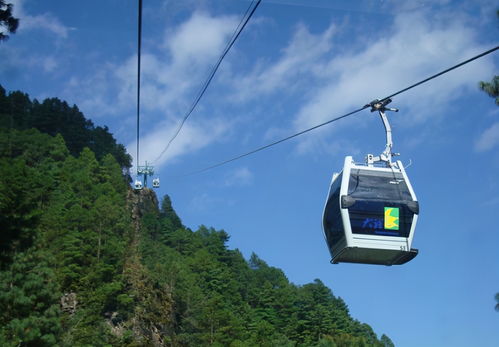 郁金香温泉门票（郁金香温泉门票价格）