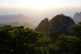 云南贡山县暴雨致交通中断（云南贡山能通高速吗）