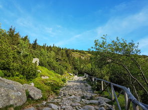 西岭雪山6月有雪吗（六月份西岭雪山还有雪吗）