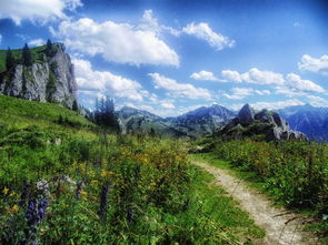 云南万峰林风景区（云南万峰林风景区怎么样）