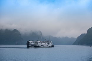 中山欢乐海岸天鹅堡值得买吗（中山欢乐海岸有什么好玩的）