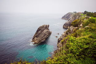 青岛海洋馆哪个好玩（青岛海洋馆哪个好玩的地方）