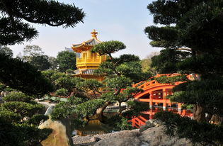 雁荡山温泉度假酒店夜景（雁荡山温泉度假酒店夜景图片）