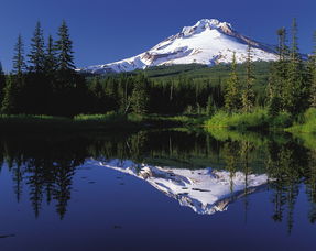 包含云南大山包遭遇10年来的词条