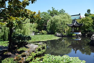 夏天去哪里旅游舒服（夏天去哪旅游好呢）