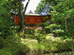 云南民宿风情旅游特征（云南民宿建筑风格）