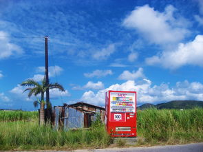 泰山一米四以下要票吗（泰山几米高）