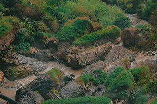 深圳羊台山几点开门（深圳羊台山门票多少钱）