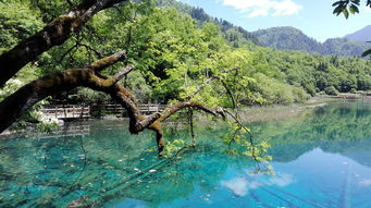 夏天成都周边旅游（夏天成都周边旅游景点大全攻略）