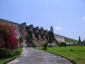 宝山区在上海的什么方向（宝山区是上海吗）