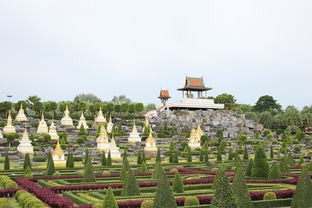 南京到莫干山如何玩（南京到莫干山旅游攻略两日游）