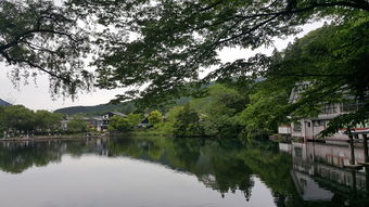 宜昌豪华游轮旅行（宜昌豪华游轮旅行价格）