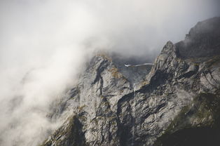 南望山在哪里（南望山地形地质图）