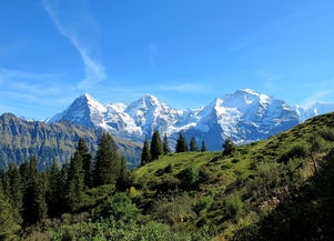 云南旅游必景点（云南旅游必去景点）