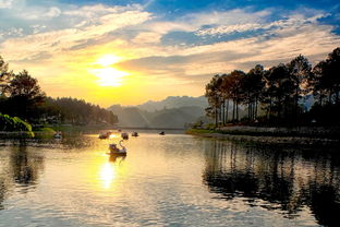 清明节旅游活动（清明节旅游景区活动）