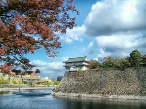 普宁梅园生态村（普宁梅园生态村门票）