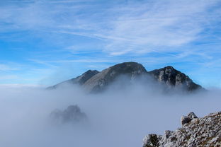 北京植物园穿越香山（香山植物园徒步穿越）