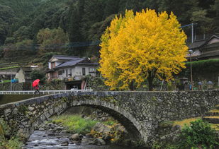 云南临沧著名风景区（云南临沧著名风景区有哪些）