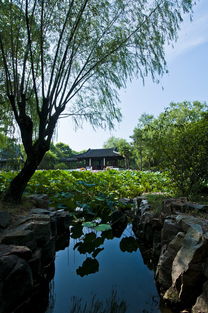 福建旅游攻略景点必去（福建旅游攻略景点必去的地方）