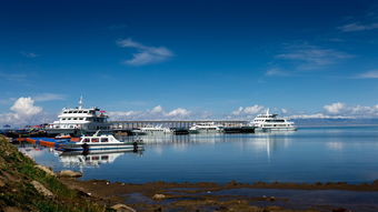 安吉大竹海景区可以推轮椅吗（安吉大竹海景区可以推轮椅吗）