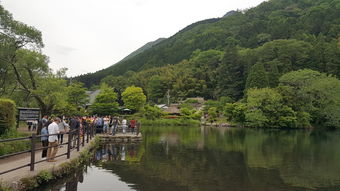 扬州文昌阁需要门票吗（扬州文昌阁门票多少钱）