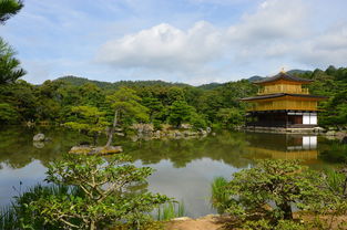 青岛灵山岛被坑（青岛黄岛灵山岛）